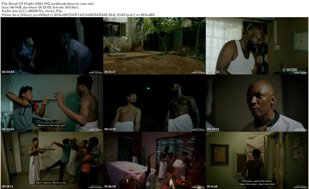 Dead Of Night (2024) - Nollywood Movie 2