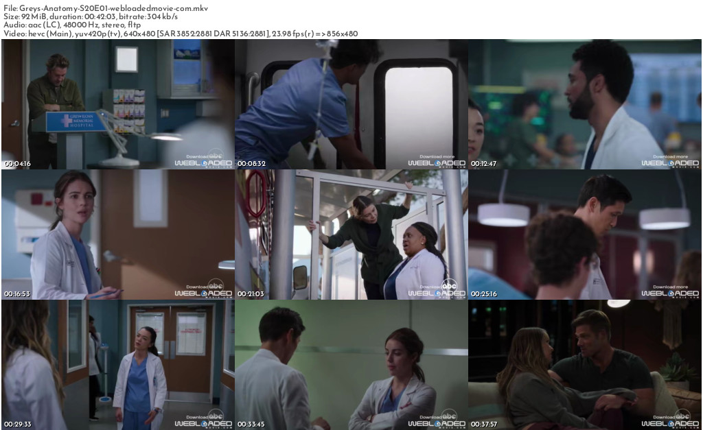 Greys Anatomy S20 (Episode 5 Added) 2
