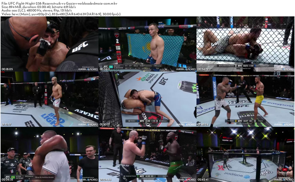 UFC Fight Night: Rozenstruik vs. Gaziev (2024) 2