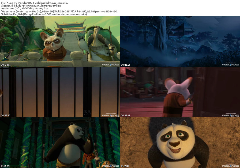 Kung Fu Panda (2008) 12