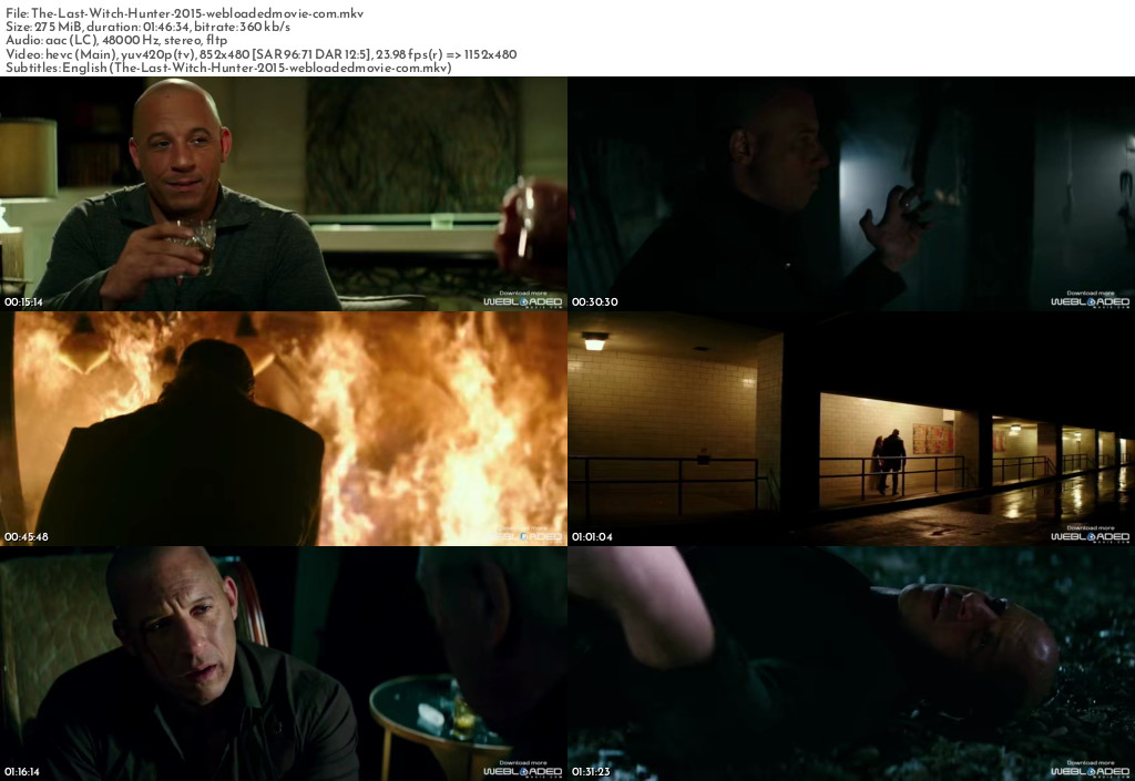 The Last Witch Hunter (2015) 2