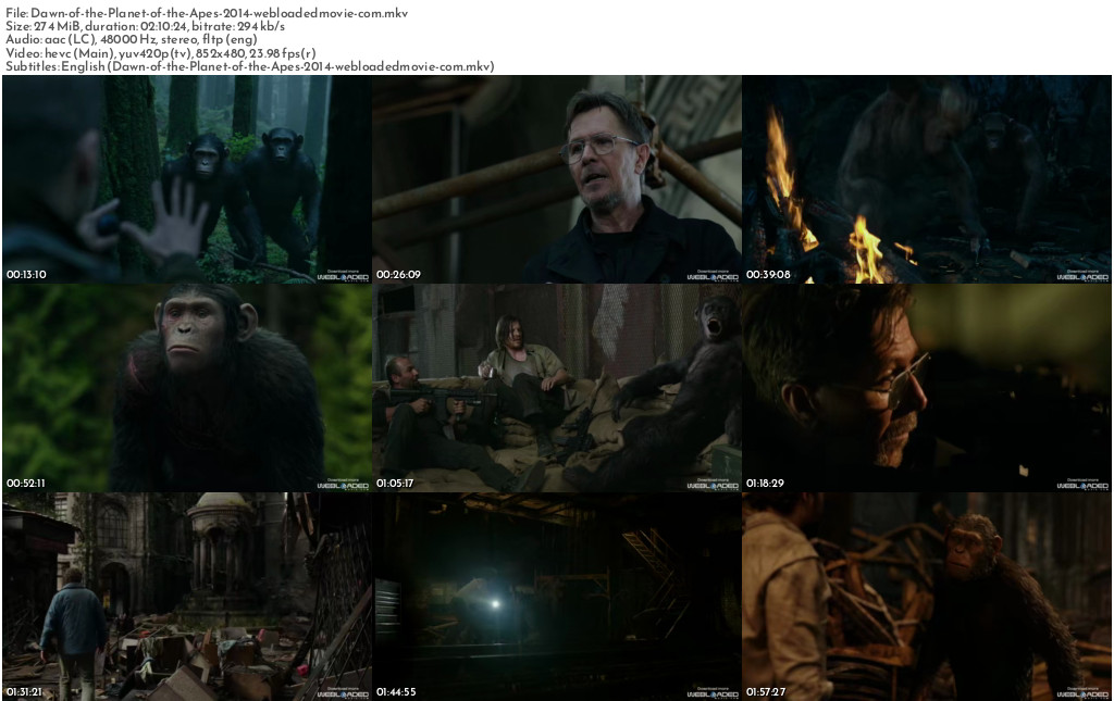 Dawn of the Planet of the Apes (2014)  4