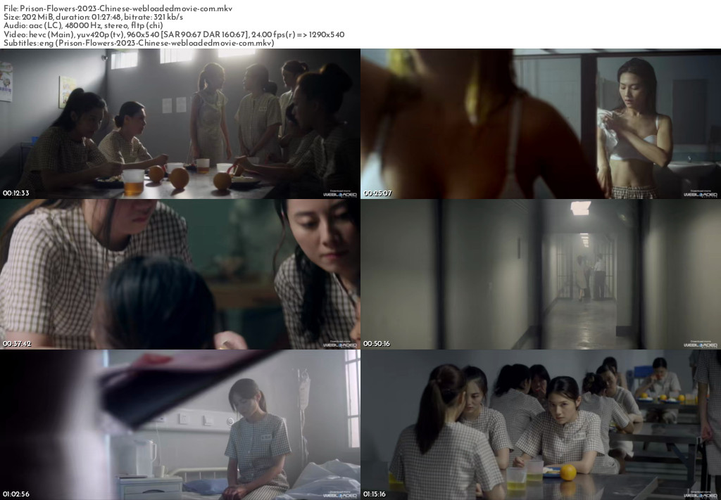 Prison Flowers (2023) - Chinese 2