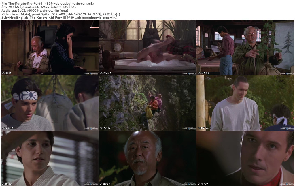 The Karate Kid Part III (1989) 2