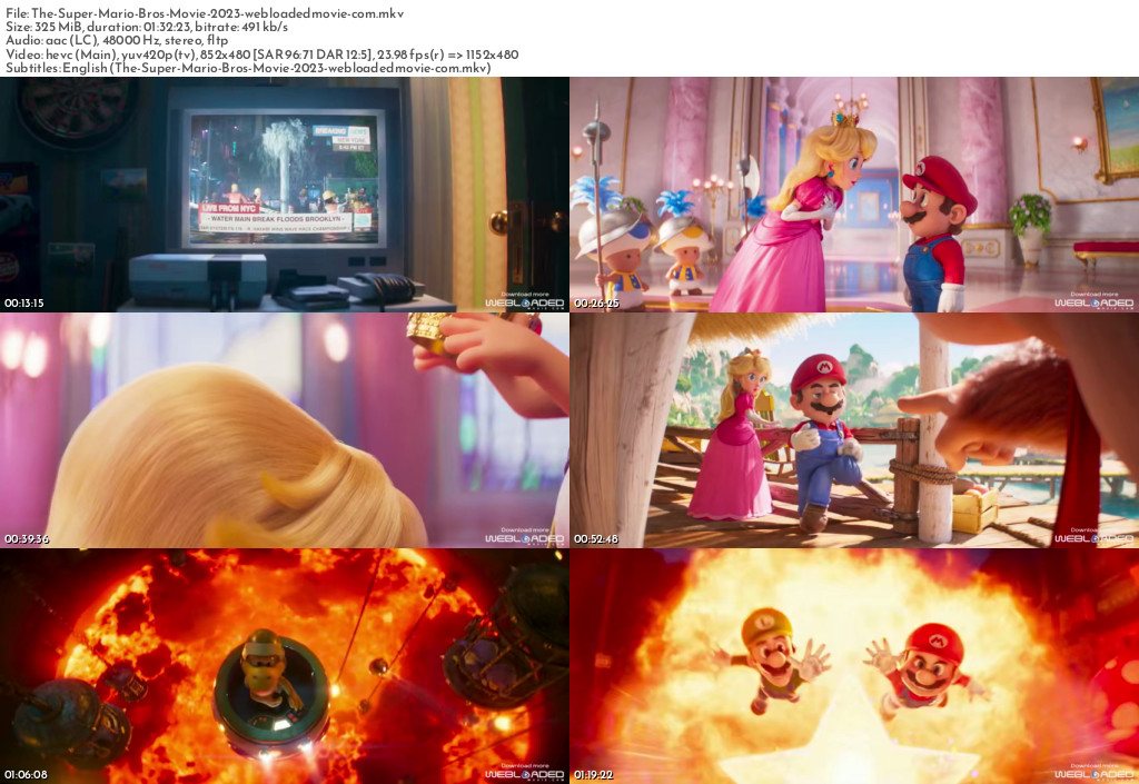 The Super Mario Bros Movie (2023) 2